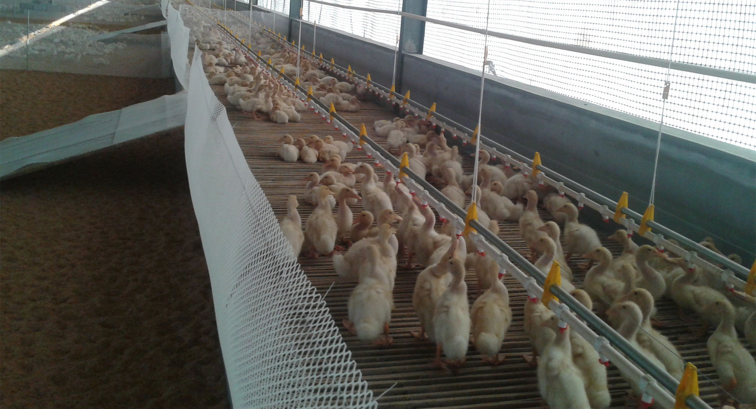 �B(y��ng)���O(sh��)��-�� ˮ��(xi��n)